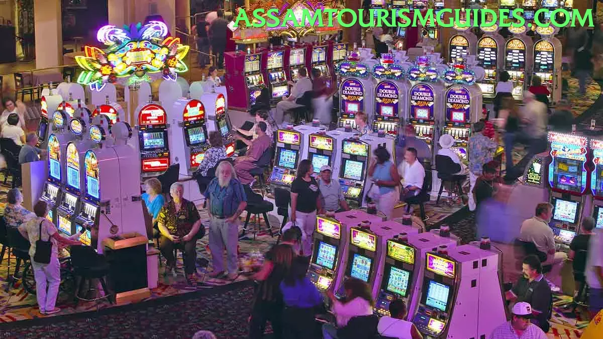 HiBazzi Game game app for Pakistan players